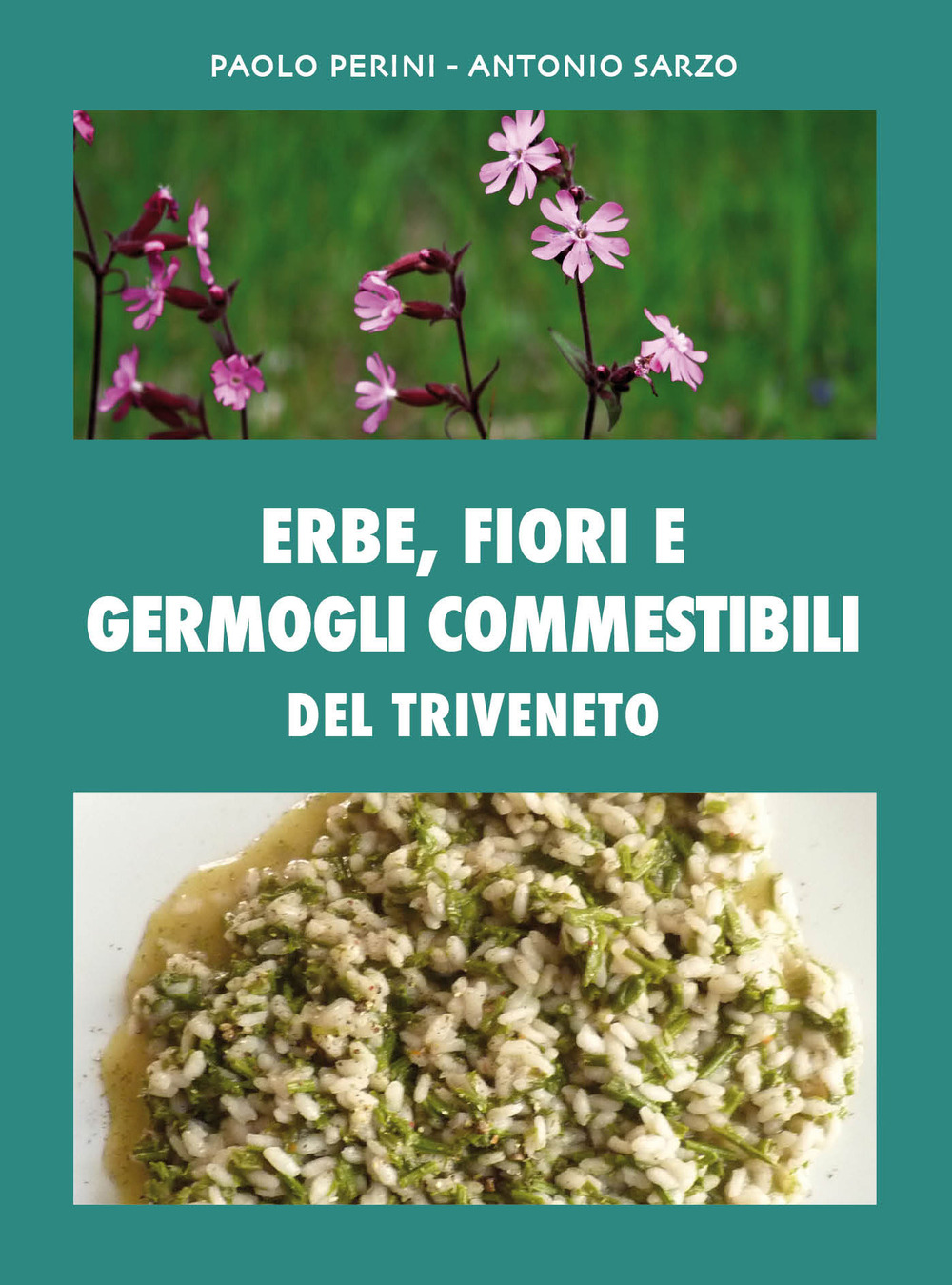 Erbe, fiori e germogli commestibili del Triveneto