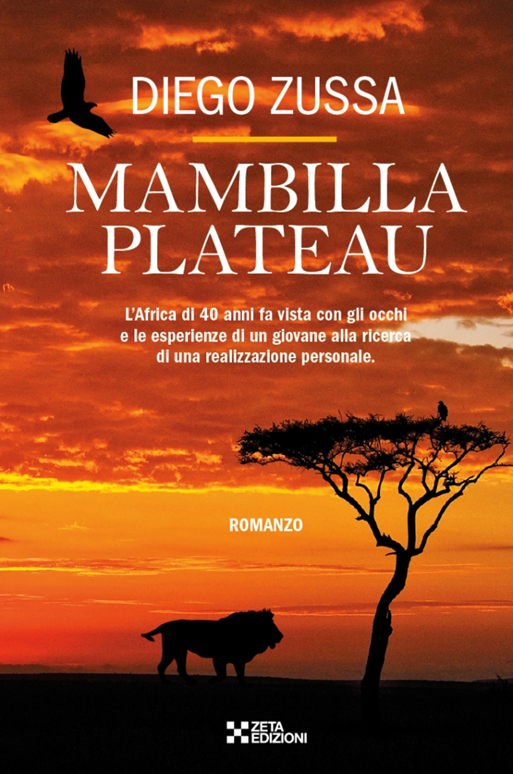 Mambilla Plateau. L'Africa di 40 anni fa vista con gli occhi e le esperienze di un giovanissimo geometra