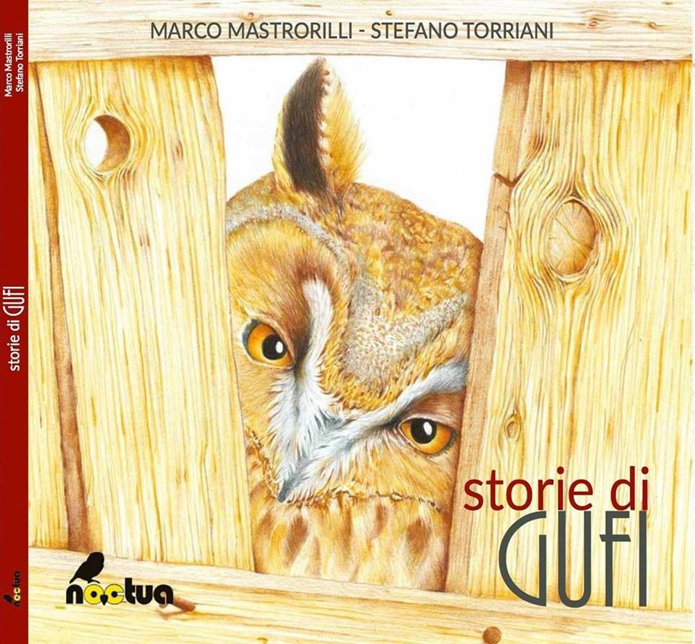 Storie di gufi