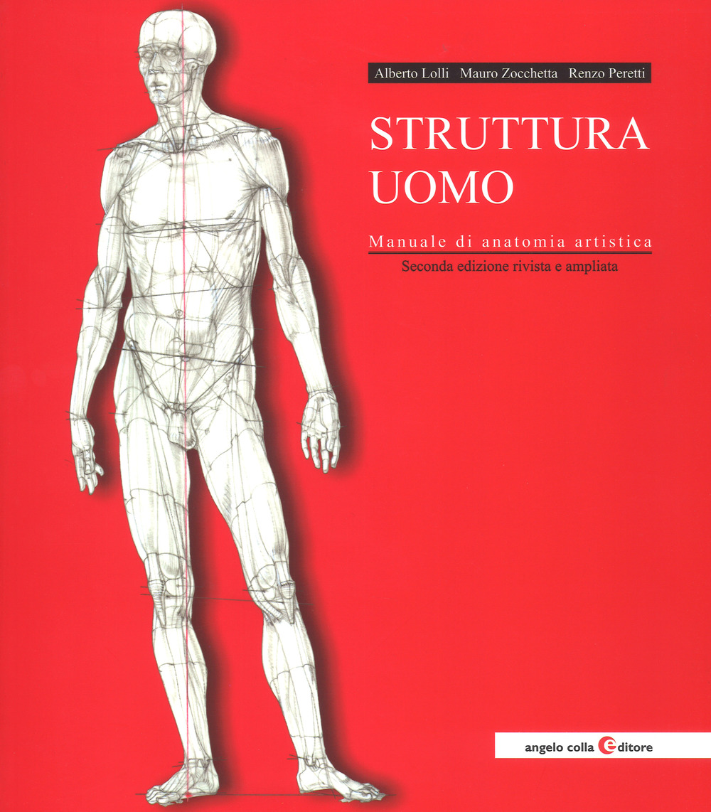 Struttura uomo. Manuale di anatomia artistica. Nuova ediz.