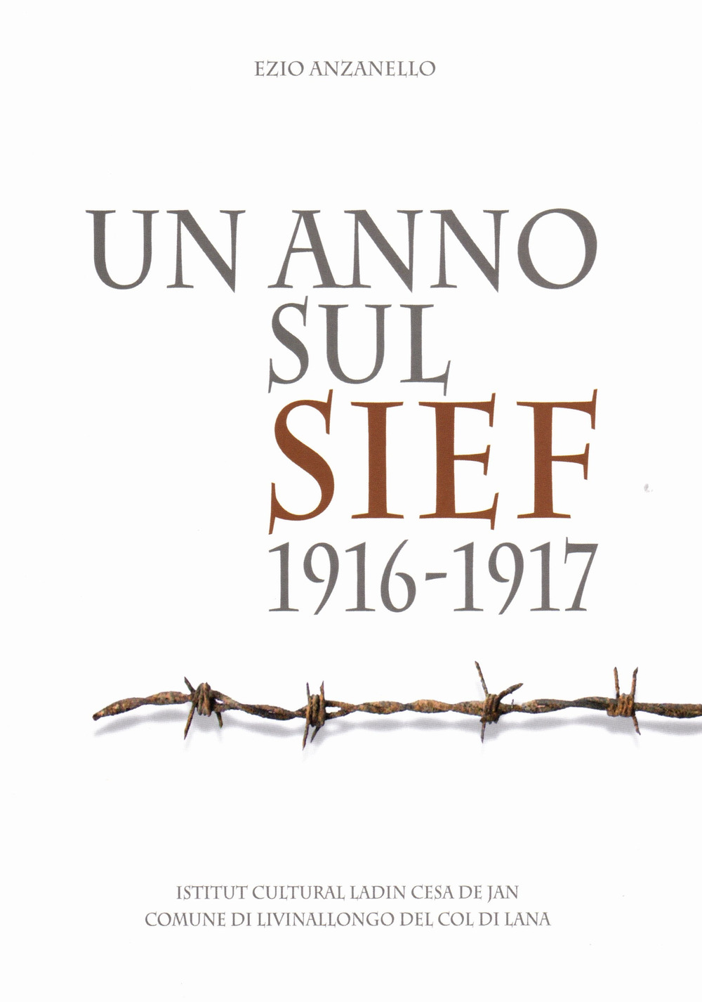 Un anno sul Sief 1916-1917