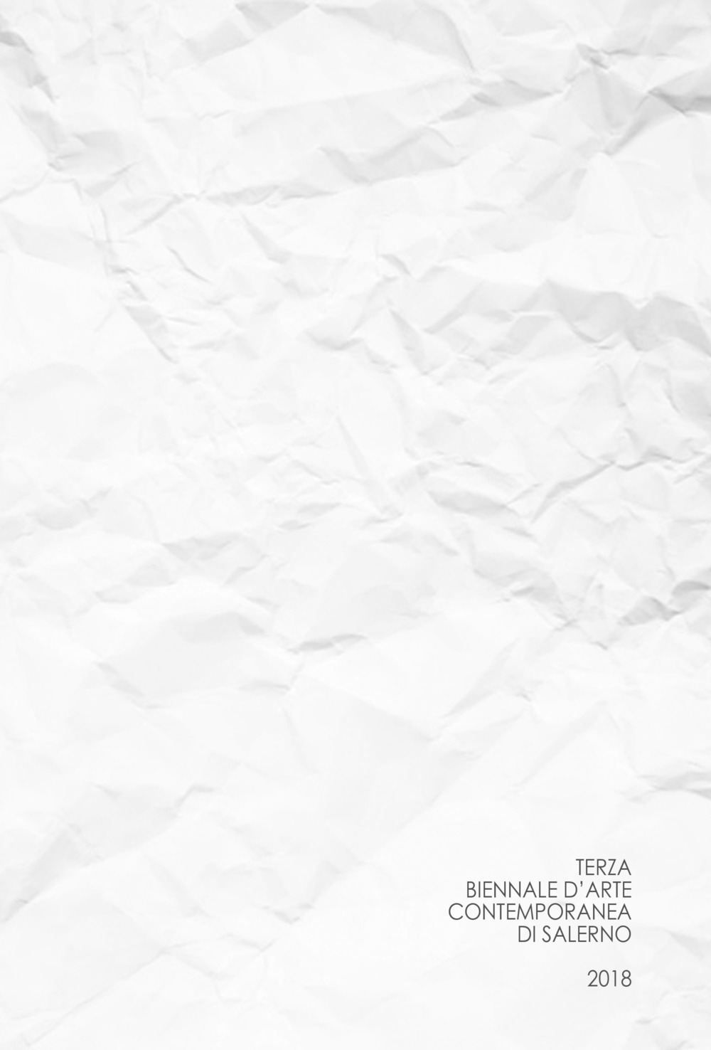 Terza biennale d'arte contemporanea di Salerno 2018. Carta bianca. Ediz. illustrata