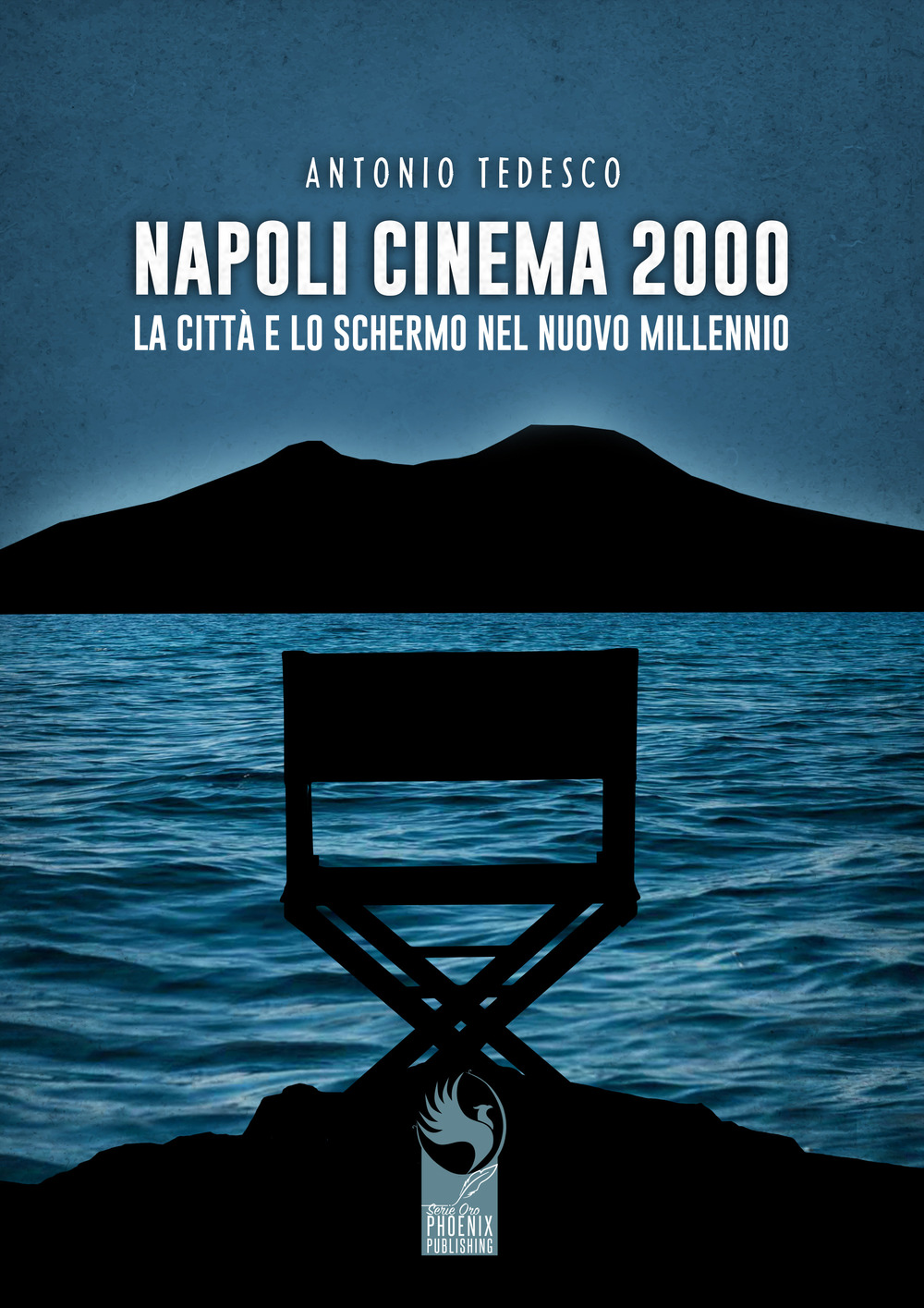 Napoli cinema 2000. La città e lo schermo nel nuovo millennio