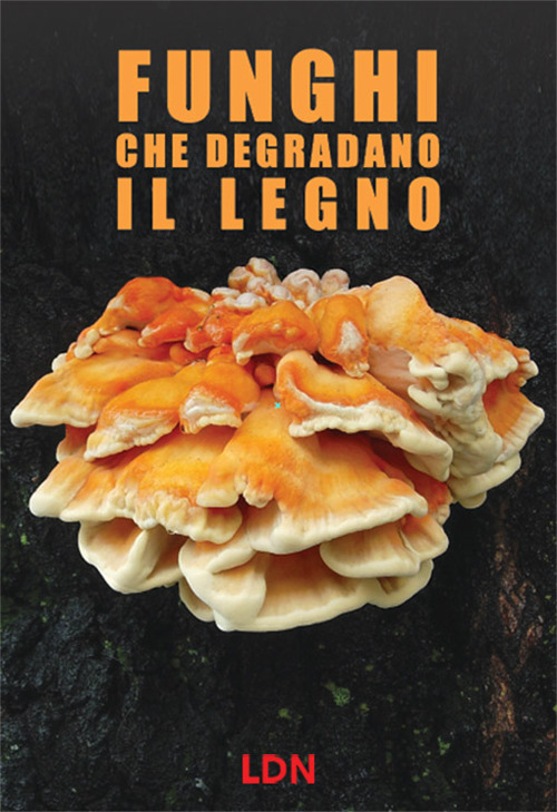 Funghi che degradano il legno. Dinamiche di azione e conseguenze per gli alberi in ambiente forestale e urbano