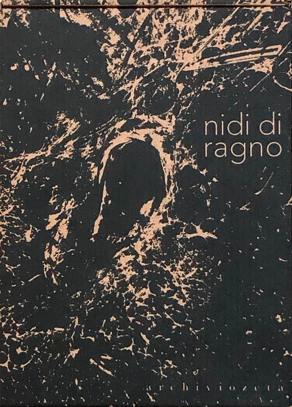 Nidi di ragno. Con Libro o pacchetto di cartoline
