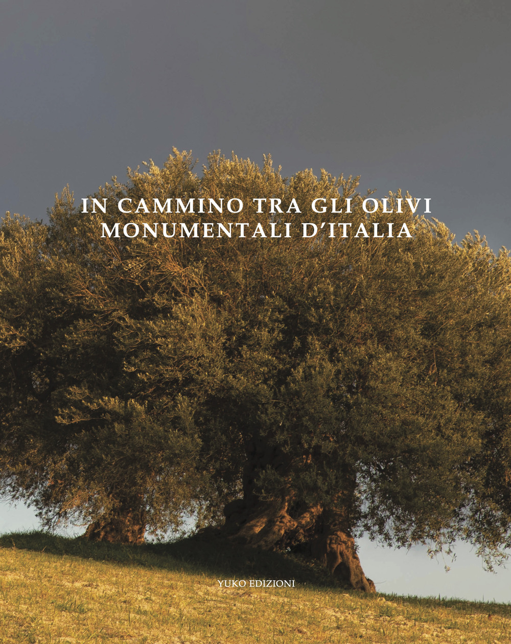 In cammino tra gli olivi monumentali d'Italia. Ediz. illustrata