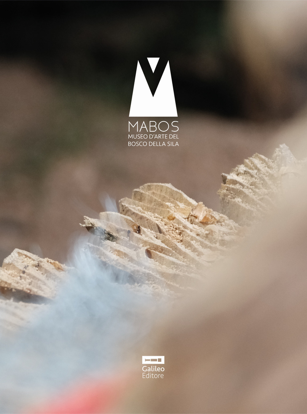 Il catalogo del Mabos. Arte e bosco. Sense 2019-2022. Ediz. illustrata