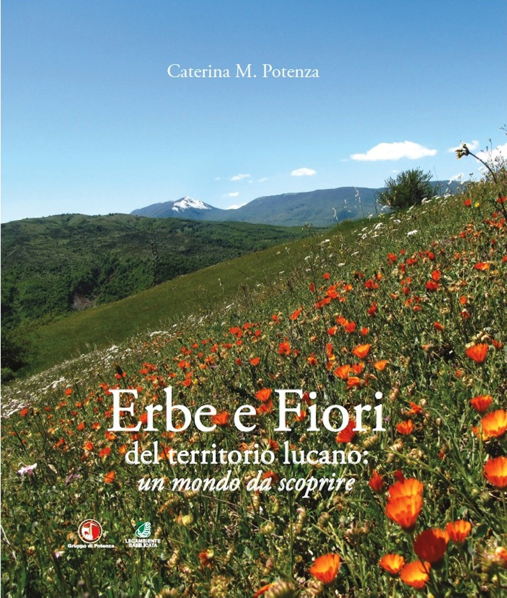 Erbe e fiori del territorio lucano. Un mondo da scoprire. Ediz. a colori