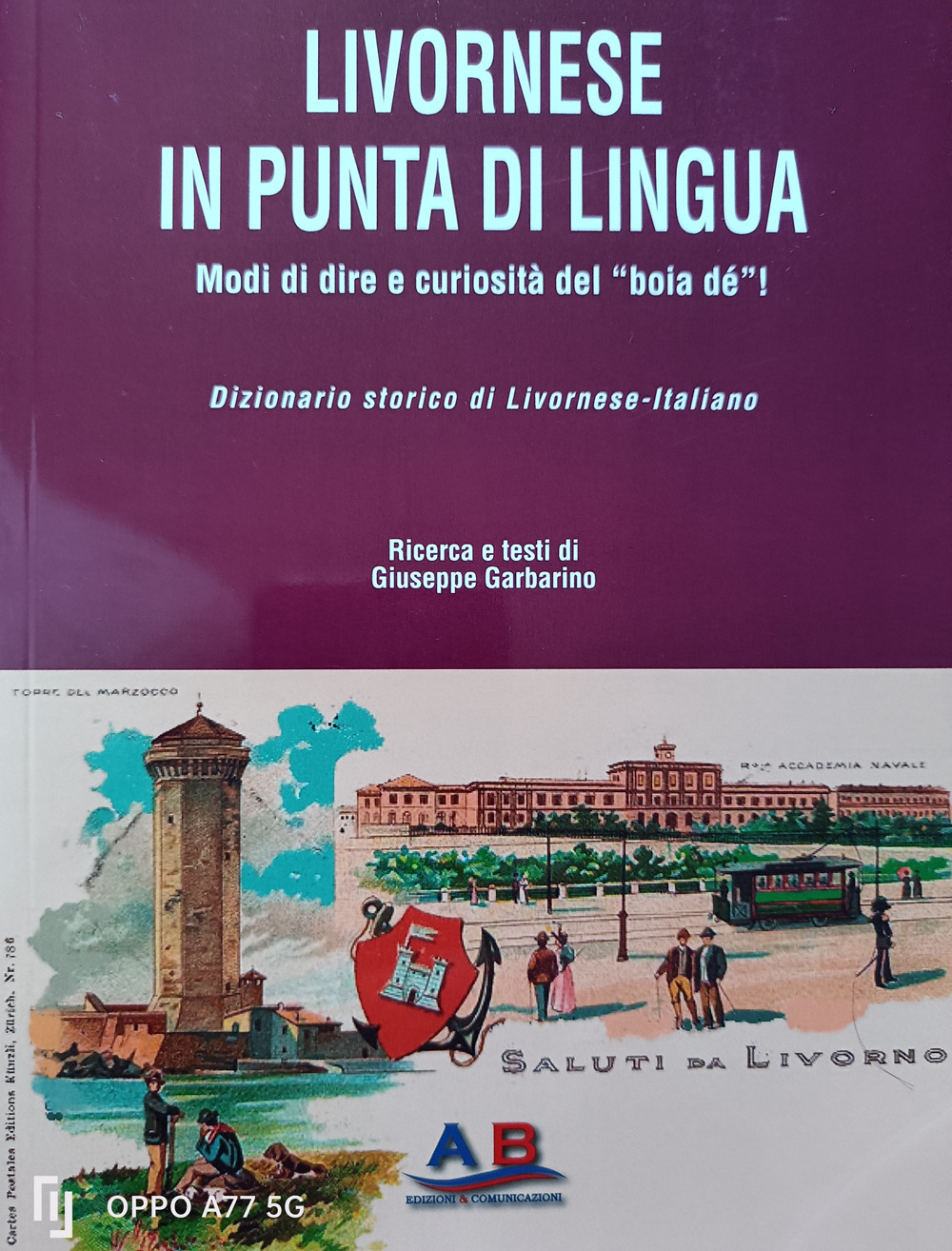 Livornese in punta di lingua. Modi di dire e curiosità del «boia dé»