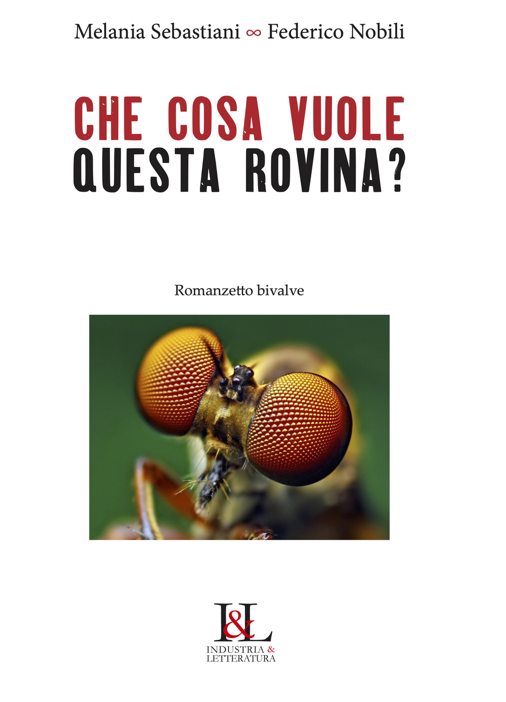 Che cosa vuole questa rovina? Romanzetto bivalve