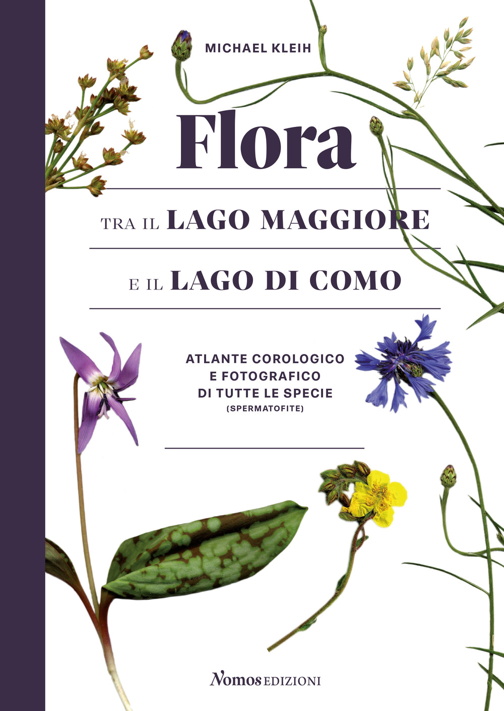 Flora tra il Lago Maggiore e il Lago di Como. Atlante corologico e fotografico di tutte le specie (spermatofite). Ediz. illustrata