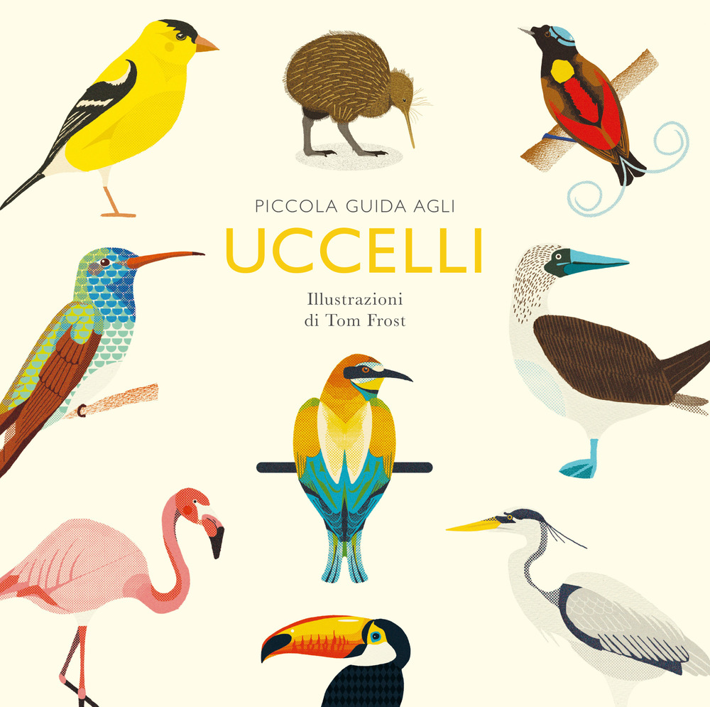 Piccola guida agli uccelli. Ediz. illustrata