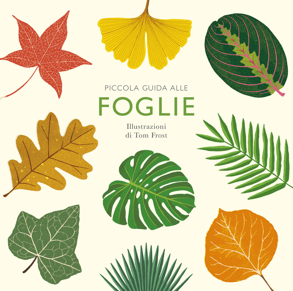 Piccola guida alle foglie. Ediz. illustrata