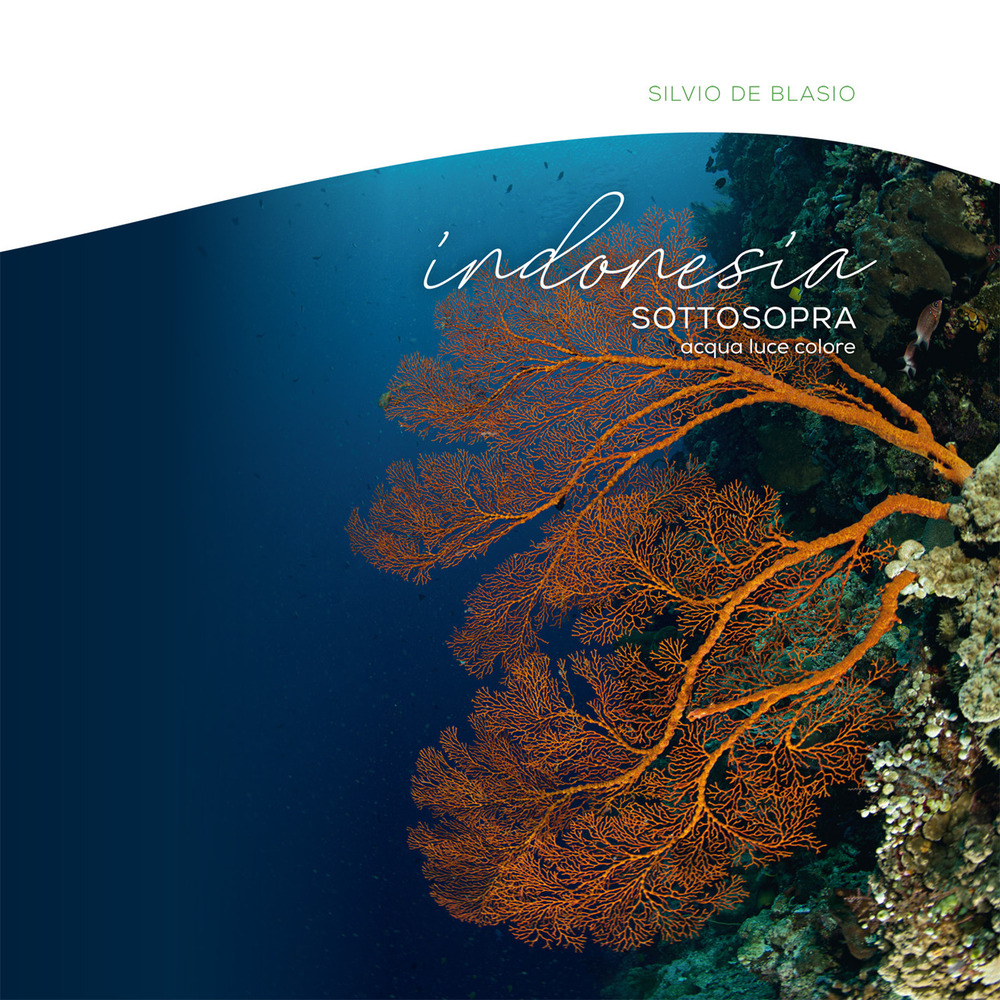 Indonesia sottosopra. Ediz. a colori