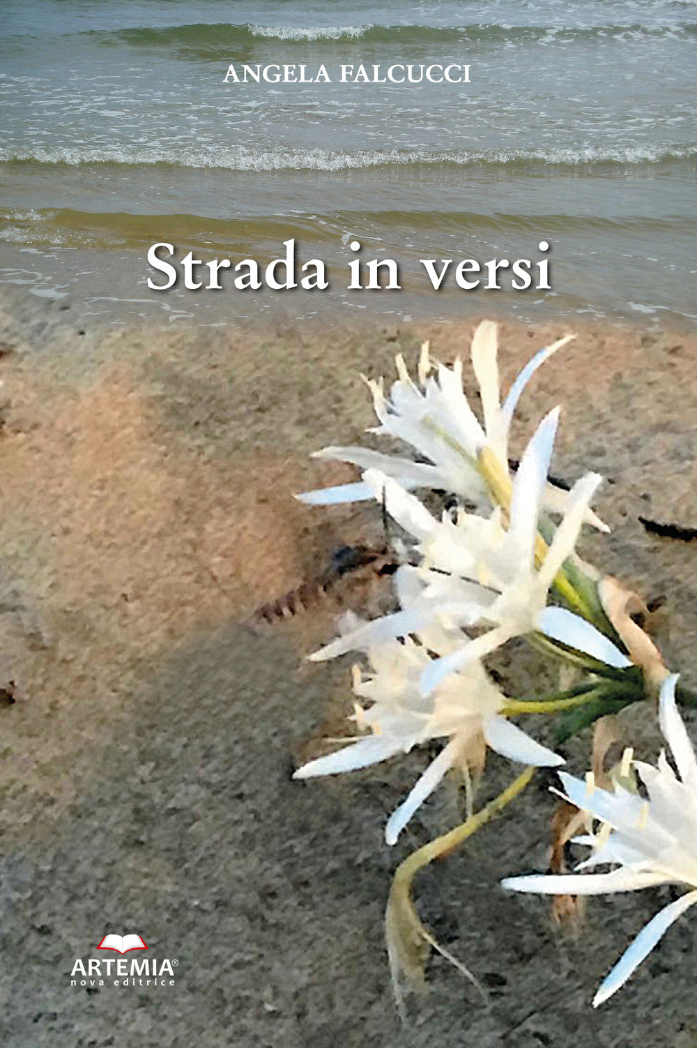 Strada in versi