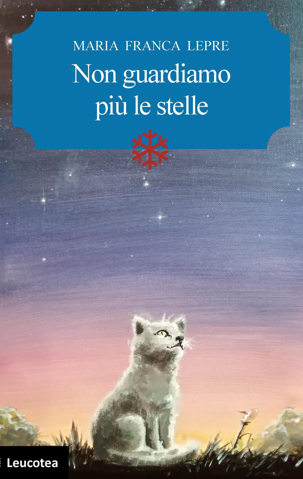 Non guardiamo più le stelle