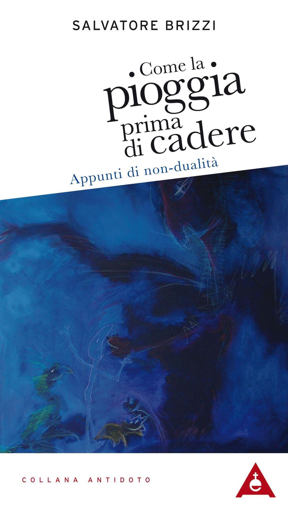 Come la pioggia prima di cadere. Appunti di non-dualità