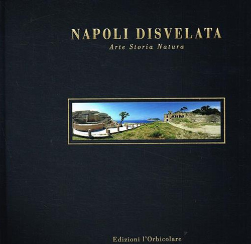Napoli disvelata. Arte, storia, natura. Ediz. italiana e inglese