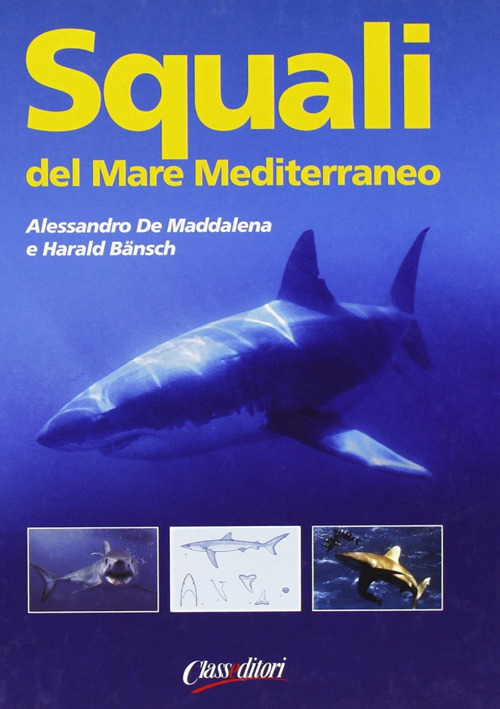 Squali del Mar Mediterraneo. Ediz. illustrata
