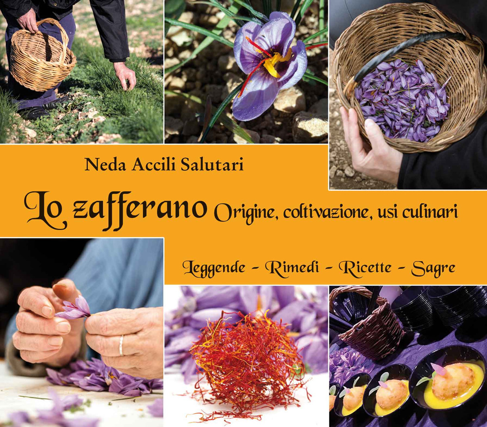 Lo zafferano. Origine, coltivazione, usi culinari