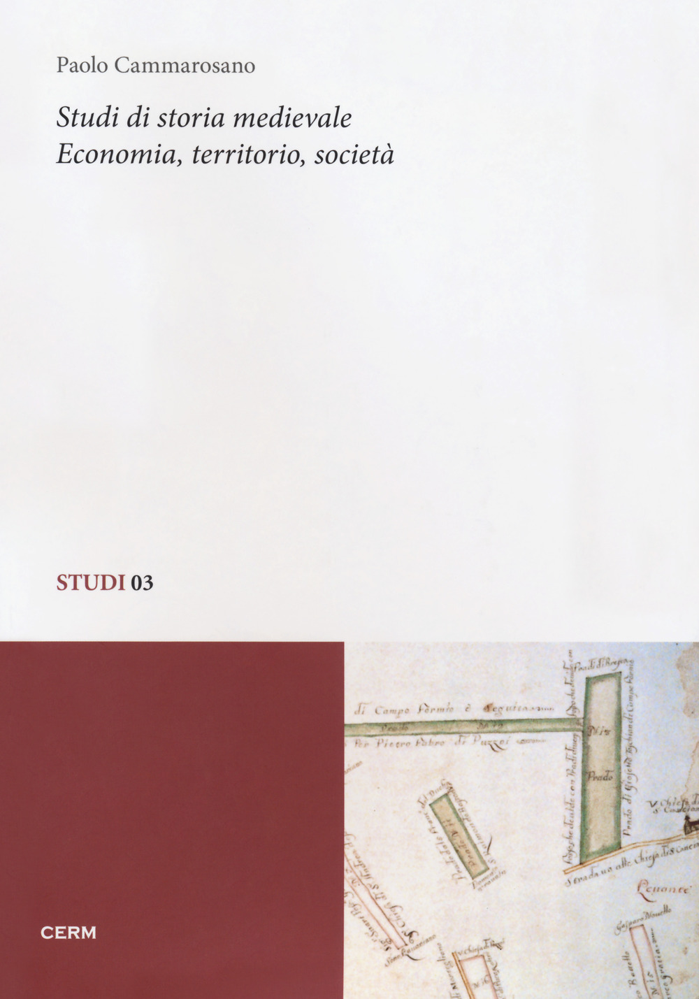 Studi di storia medievale. Economia, territorio, società