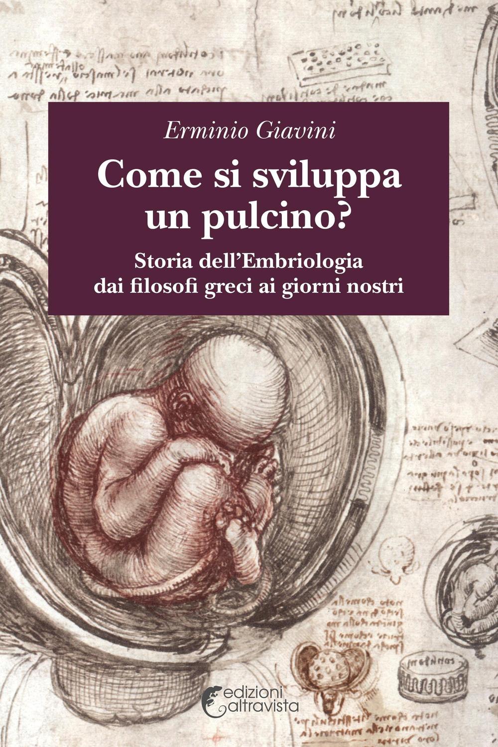 Come si sviluppa un pulcino? Storia dell'embriologia dai filosofi greci ai giorni nostri