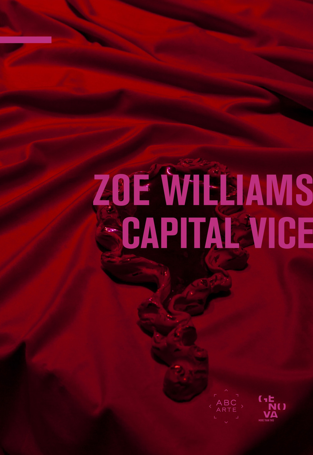 Zoe Williams. Capital vice