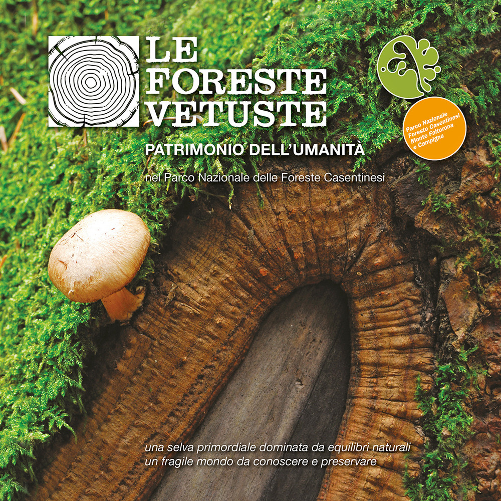 Le foreste vetuste patrimonio dell'umanità nel Parco nazionale delle foreste casentinesi. Ediz. illustrata