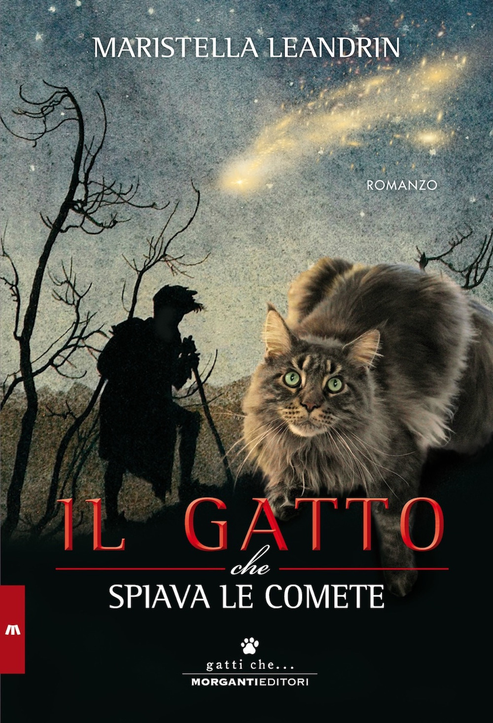 Il gatto che spiava le comete