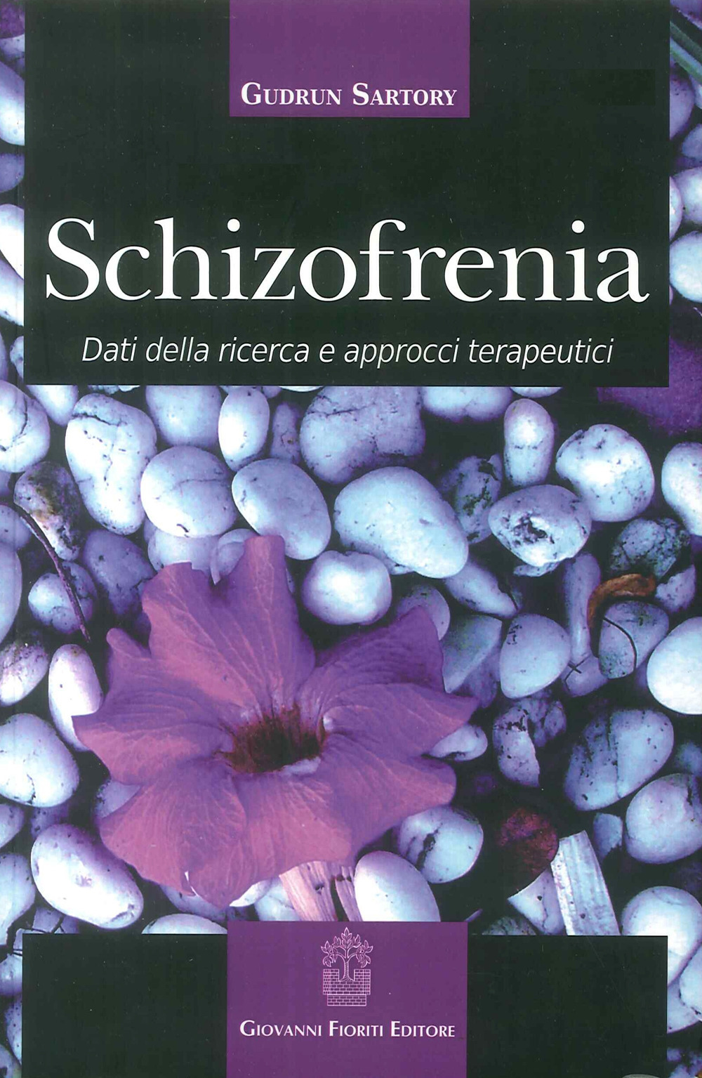 Schizofrenia. Dati della ricerca e approcci terapeutici