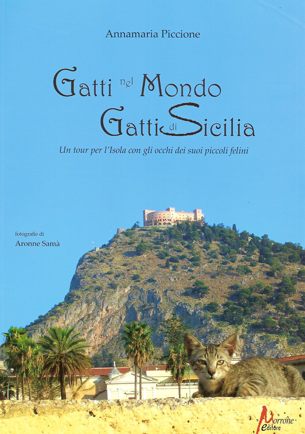 Gatti nel mondo, gatti di Sicilia. Un tour per l'isola con gli occhi dei suoi piccoli felini
