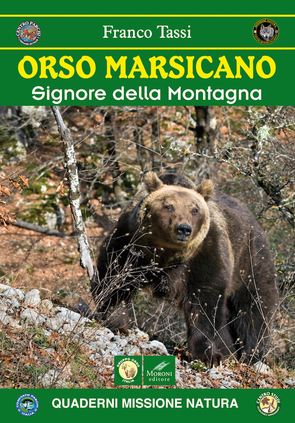 Orso marsicano. Signore della montagna