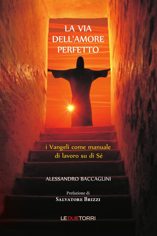 La via dell'amore perfetto. I vangeli come manuale di lavoro su di sé