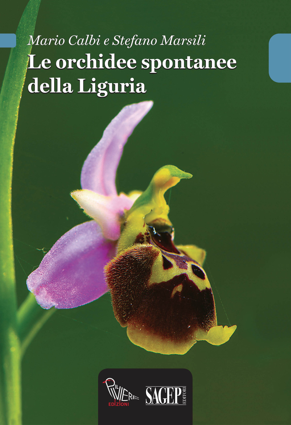 Le orchidee spontanee della Liguria