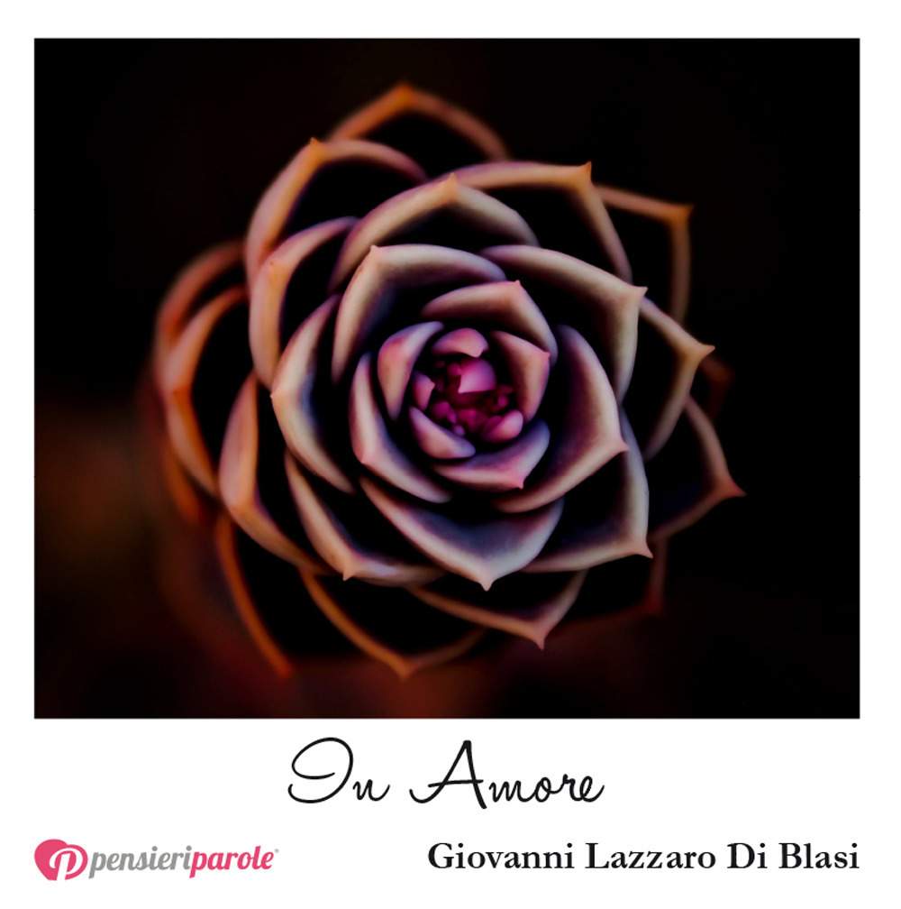 In amore