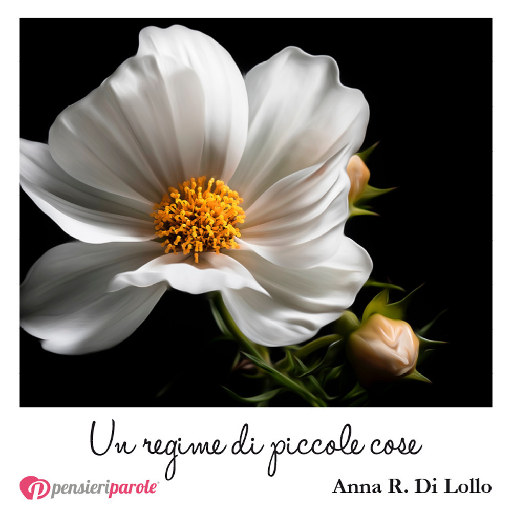 Un regime di piccole cose