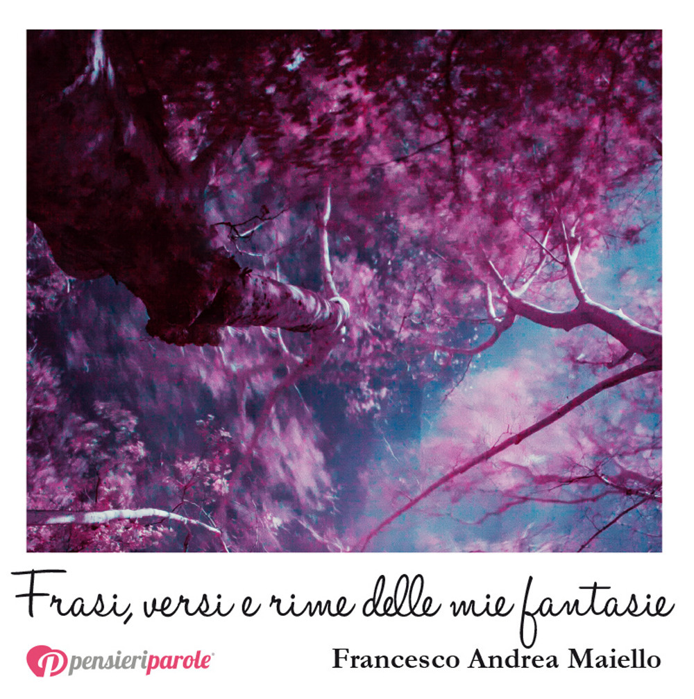 Frasi, versi e rime delle mie fantasie