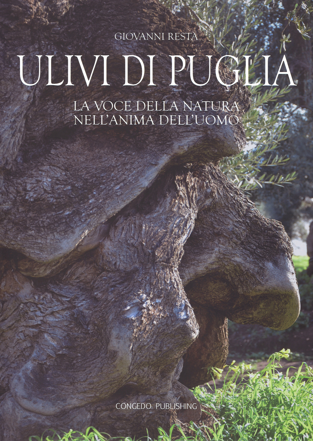 Ulivi di Puglia. La voce della natura nell'anima dell'uomo. Ediz. illustrata