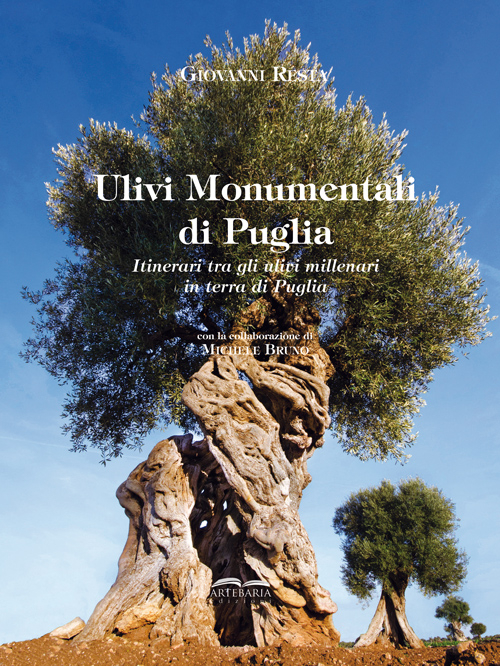 Ulivi monumentali di Puglia. Itinerari tra gli ulivi millenari in terra di Puglia. Ediz. a colori
