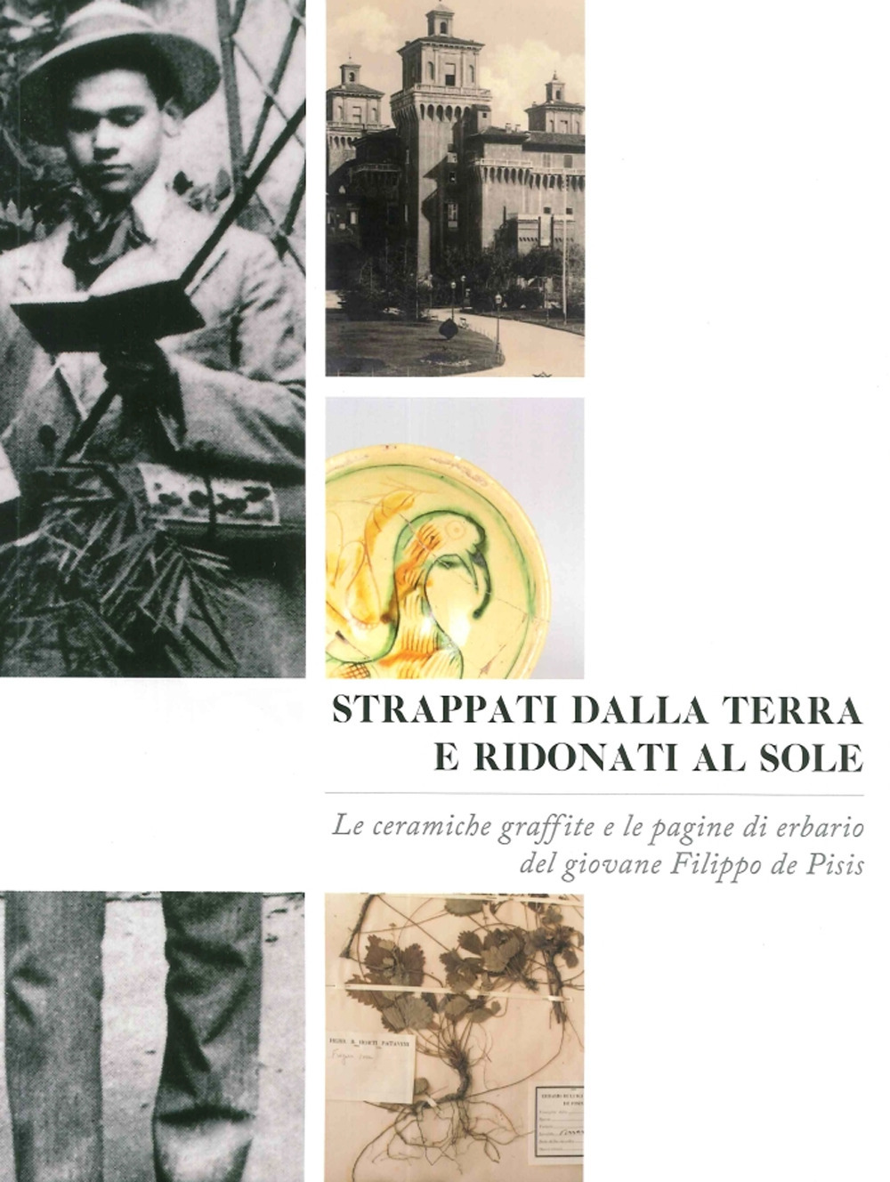 Strappati dalla terra e ridonati al sole. Le ceramiche graffite e le pagine di erbario del giovane Filippo De Pisis. Ediz. illustrata