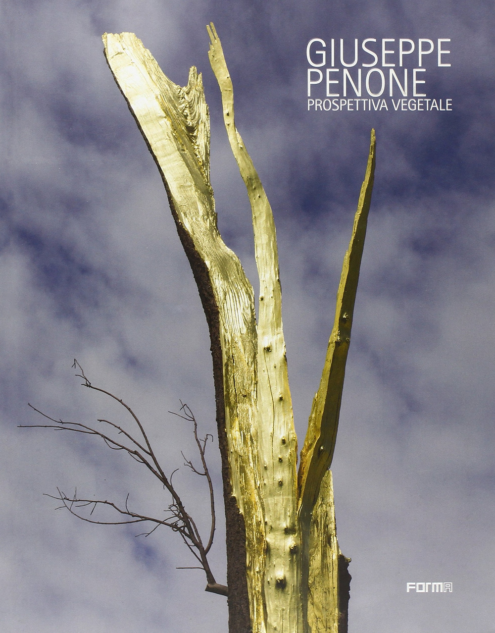 Giuseppe Penone. Vegetable perspective. Ediz. a colori