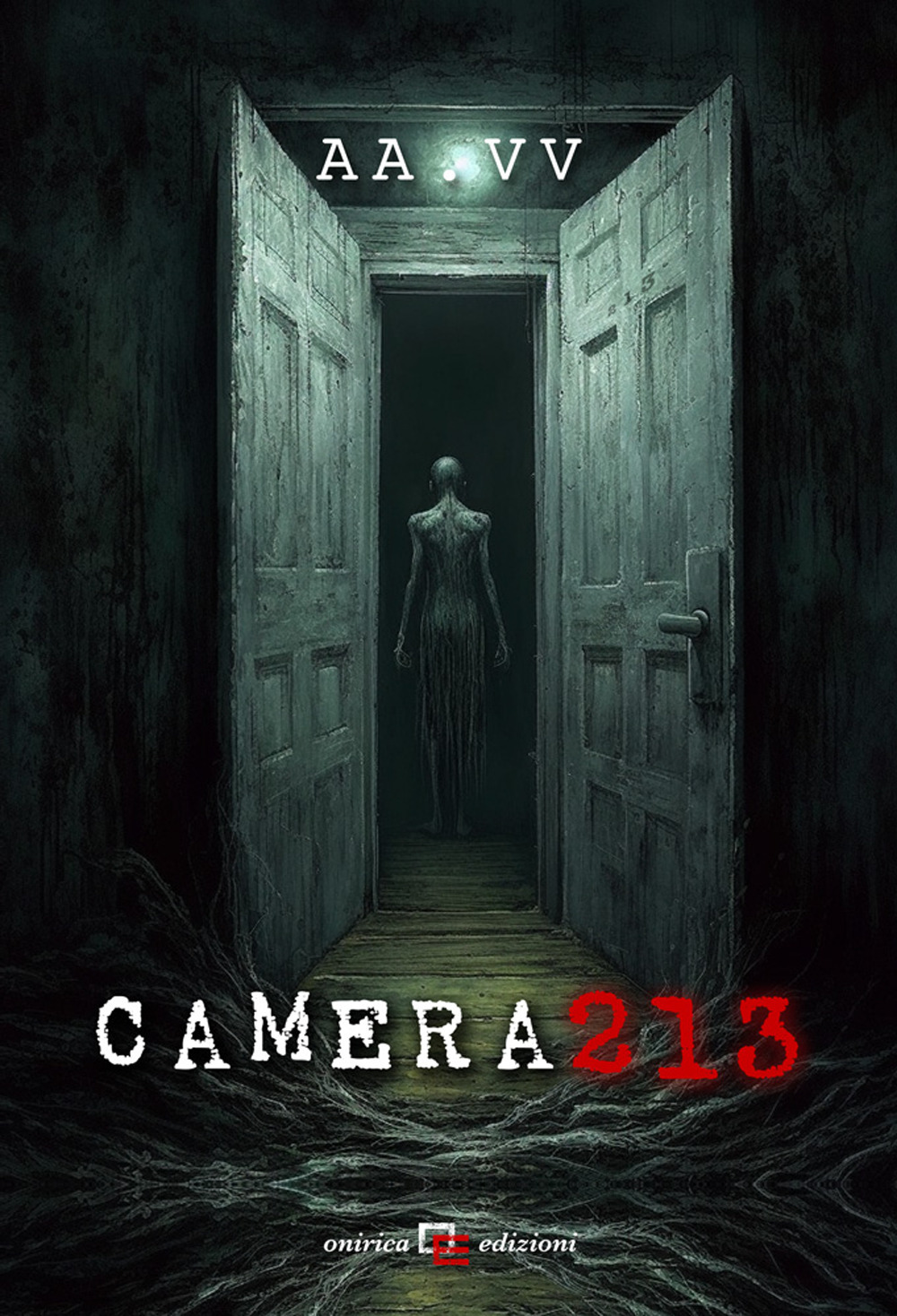 Camera 213