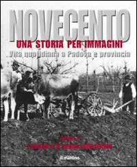 Novecento padovano. Una storia per immagini. Ediz. illustrata. Vol. 4: I campi e il sogno industriale