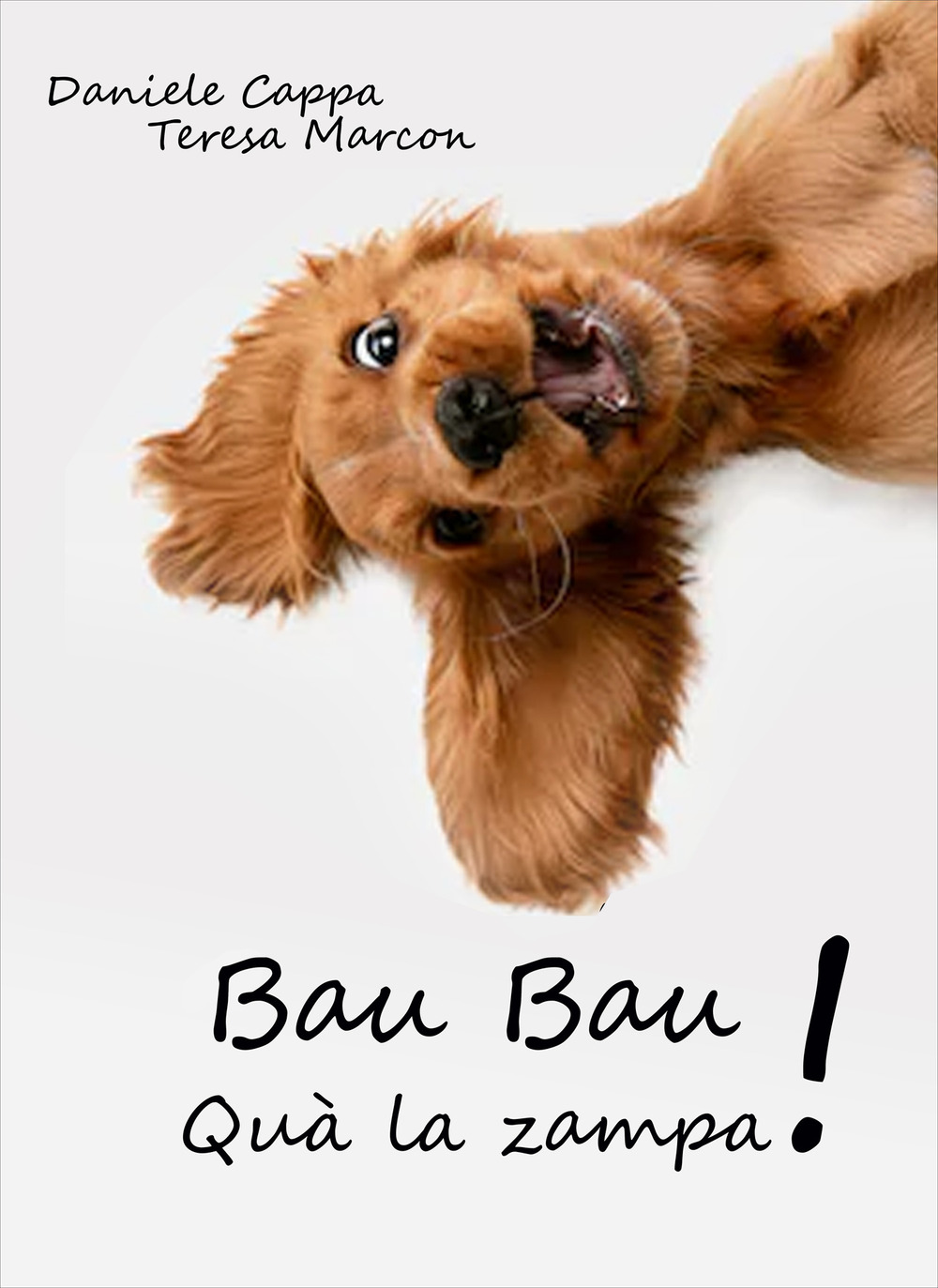 Bau bau. Quà la zampa!