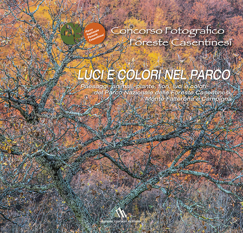 Concorso fotografico foreste casentinesi. Luci e colori nel parco. Ediz. illustrata