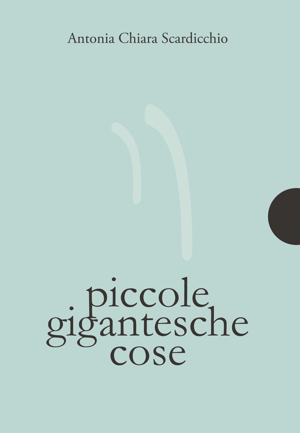 Piccole gigantesche cose