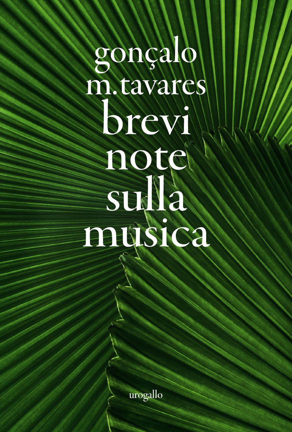 Brevi note sulla musica