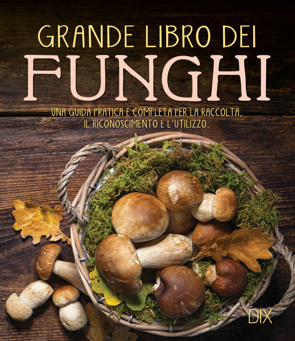 Grande libro dei funghi. Una guida pratica e completa per la raccolta, il riconoscimento e l'utilizzo