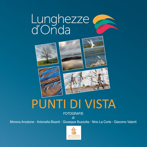 Punti di vista. Ediz. illustrata