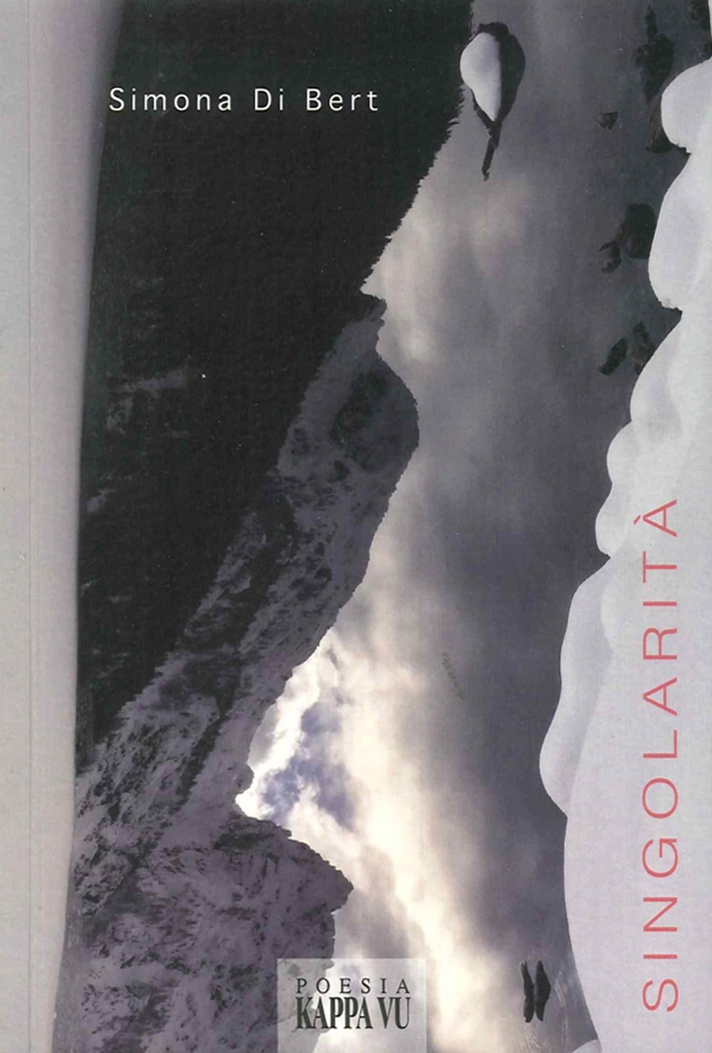 Singolarità